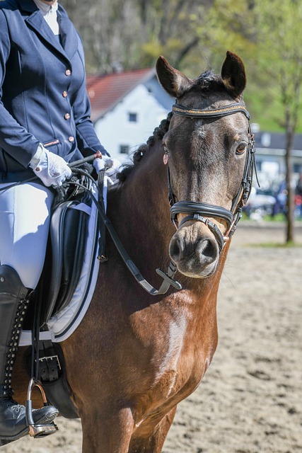 C罗和梅西的真实关系，刷新了球迷的认知