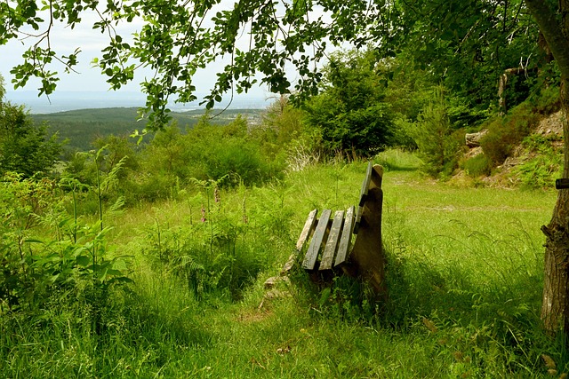 天空体育：米兰就引进努涅斯与利物浦进行初步接触